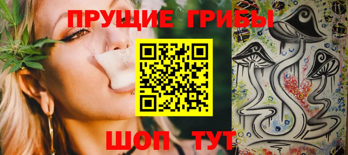 Галлюциногенные грибы Magic Shrooms Великий Устюг