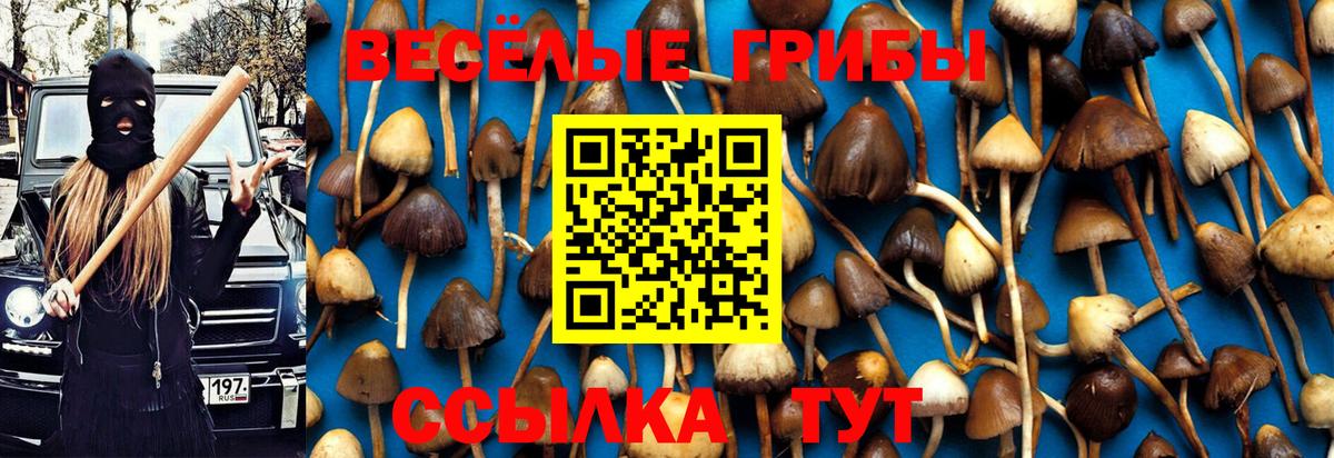 Великий Устюг  Псилоцибиновые грибы GOLDEN TEACHER  Вход с VPN 
