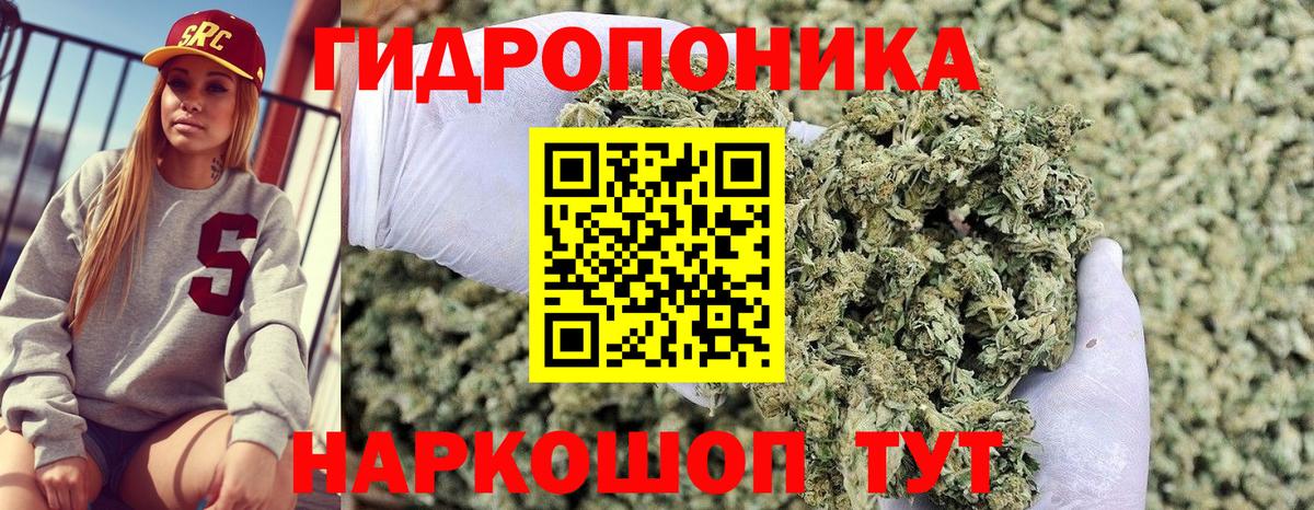 Бошки Шишки конопля Великий Устюг